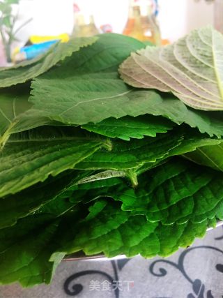 蒜蓉辣椒酱腌制韩国料理—苏子叶的做法步骤：2