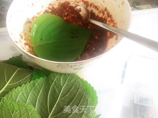 蒜蓉辣椒酱腌制韩国料理—苏子叶的做法步骤：8