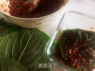 蒜蓉辣椒酱腌制韩国料理—苏子叶的做法步骤：9