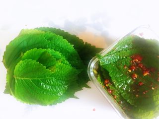 蒜蓉辣椒酱腌制韩国料理—苏子叶的做法步骤：12