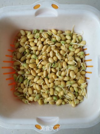 粉丝肉丝炒豆嘴的做法步骤：2