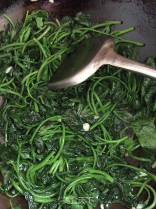 炒红薯叶的做法步骤：4