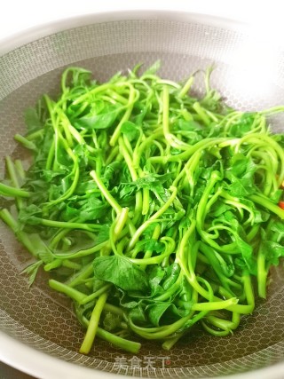 蚝油空心菜的做法步骤：4