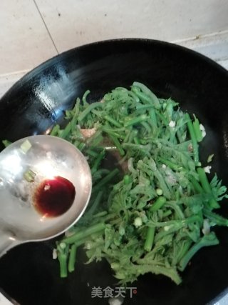 清炒南瓜蔓的做法步骤：7