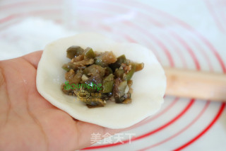 茄子馅蒸饺的做法步骤：5