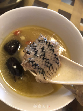 龙凤汤（蛇肉炖鸡汤）的做法步骤：16
