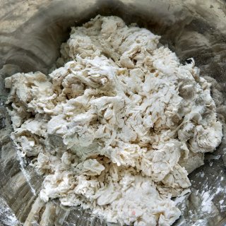 豇豆(菜豆)鲜肉包的做法步骤：2
