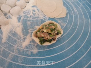 三鲜馅水饺的做法步骤：8