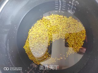 暑天必备解暑粥|成本不到1块钱|一连喝了好几碗的做法步骤：3