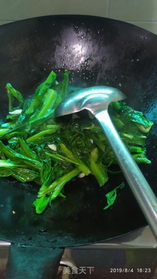 蒜蓉炒苦脉的做法步骤：4