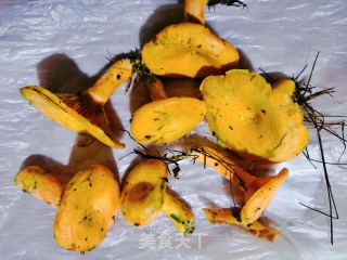 鲜美野松菌豆腐肉片汤的做法步骤：1