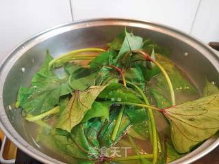 红薯叶汤的做法步骤：6