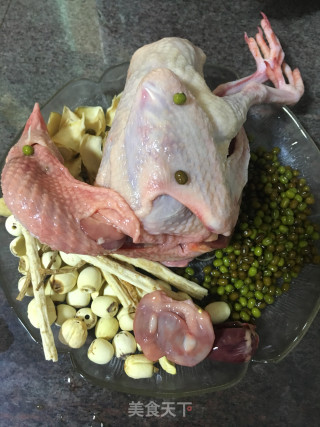 老鸽绿豆汤的做法步骤：1