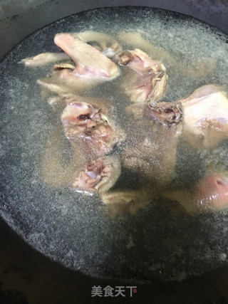 老鸽绿豆汤的做法步骤：4