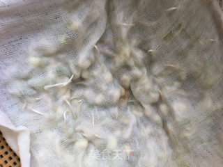 自发绿豆芽的做法步骤：4