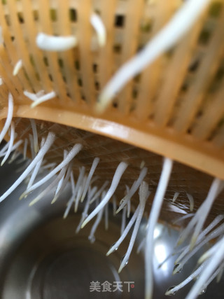 自发绿豆芽的做法步骤：5