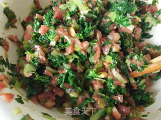 小白菜猪肉馅饺子的做法步骤：5