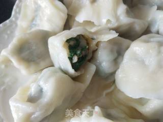 小白菜猪肉馅饺子的做法步骤：11