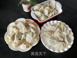 小白菜猪肉馅饺子的做法步骤：12