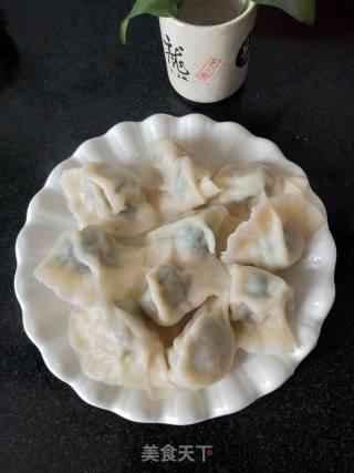 小白菜猪肉馅饺子的做法步骤：13