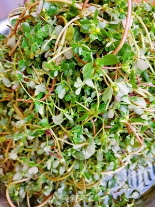 马齿笕干菜的做法步骤：1