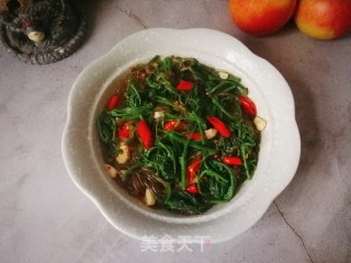 丝瓜尖儿炒粉条的做法步骤：10