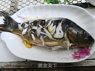 清蒸裸斑鱼的做法步骤：1