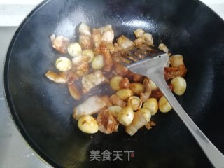 鹌鹑蛋炖肉的做法步骤：4