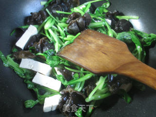 黑木耳老豆腐炒鸡毛菜的做法步骤：4
