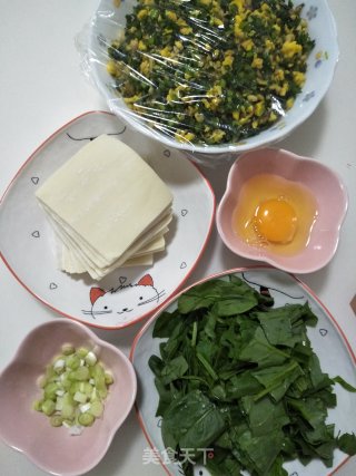 鸡蛋韭菜馄饨的做法步骤：6