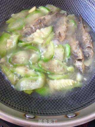 丝瓜鲫鱼汤的做法步骤：13