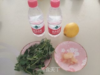 柠檬薄荷饮的做法步骤：1