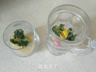 柠檬薄荷饮的做法步骤：5