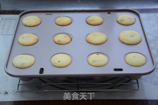 蔓越莓海绵小蛋糕的做法步骤：8