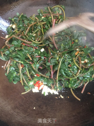 炒马齿苋的做法步骤：3