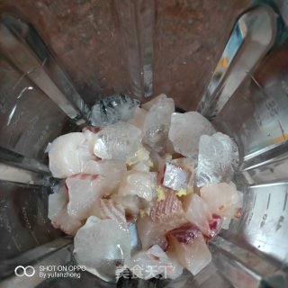 煎草鱼饼（破壁机版）的做法步骤：3
