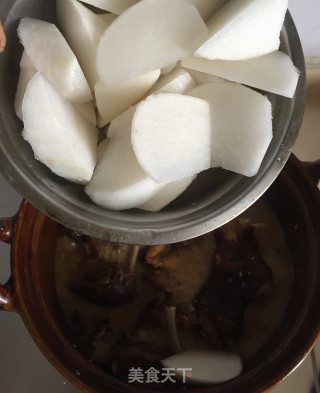 萝卜焖腊羊肉的做法步骤：9
