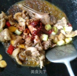美味啤酒鸭的做法步骤：6