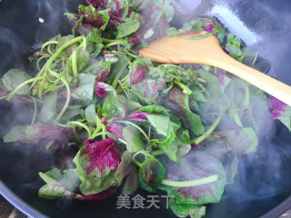 蒜蓉苋菜的做法步骤：4