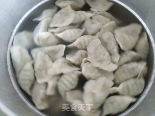 豆角肉饺子的做法步骤：20