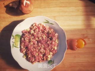 蒸肉饼的做法步骤：6