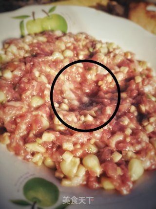 蒸肉饼的做法步骤：8