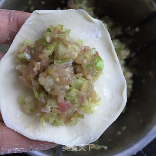 包菜鲜肉锅贴的做法步骤：4