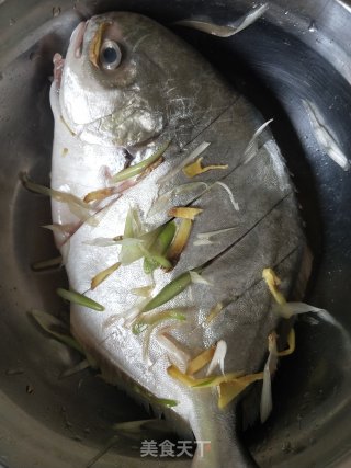 红烧鲳鱼的做法步骤：3