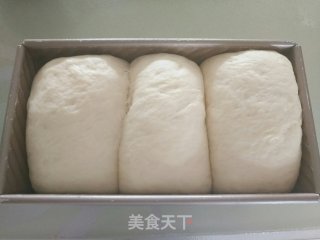 冷藏中种法淡奶油吐司的做法步骤：14
