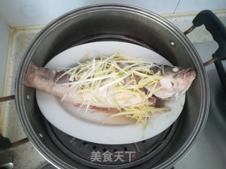 清蒸鲈鱼的做法步骤：3