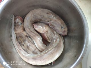 酱焖海鲶鱼的做法步骤：1