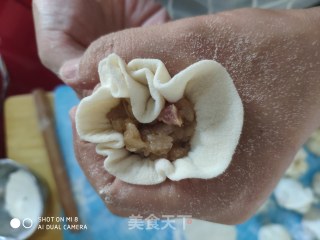 米饭    羊肉烧麦的做法步骤：4