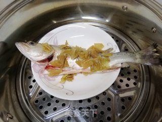 冬菜整鲈鱼的做法步骤：3