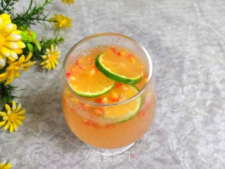 石榴气泡鸡尾酒的做法步骤：16